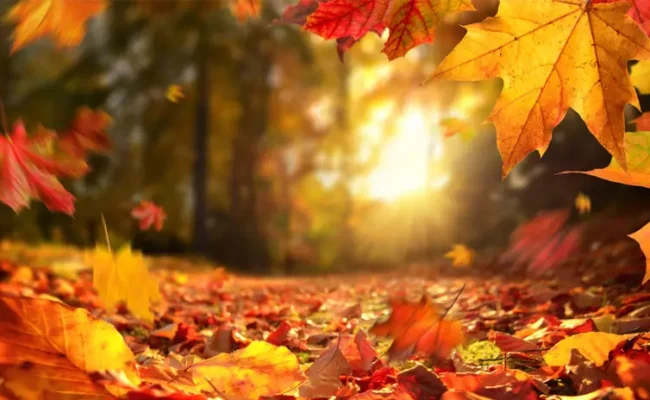 بی‌داد گرما و خشکی در پاییز امسال؛ این استان‌ها کمترین میزان بارش را خواهند داشت!