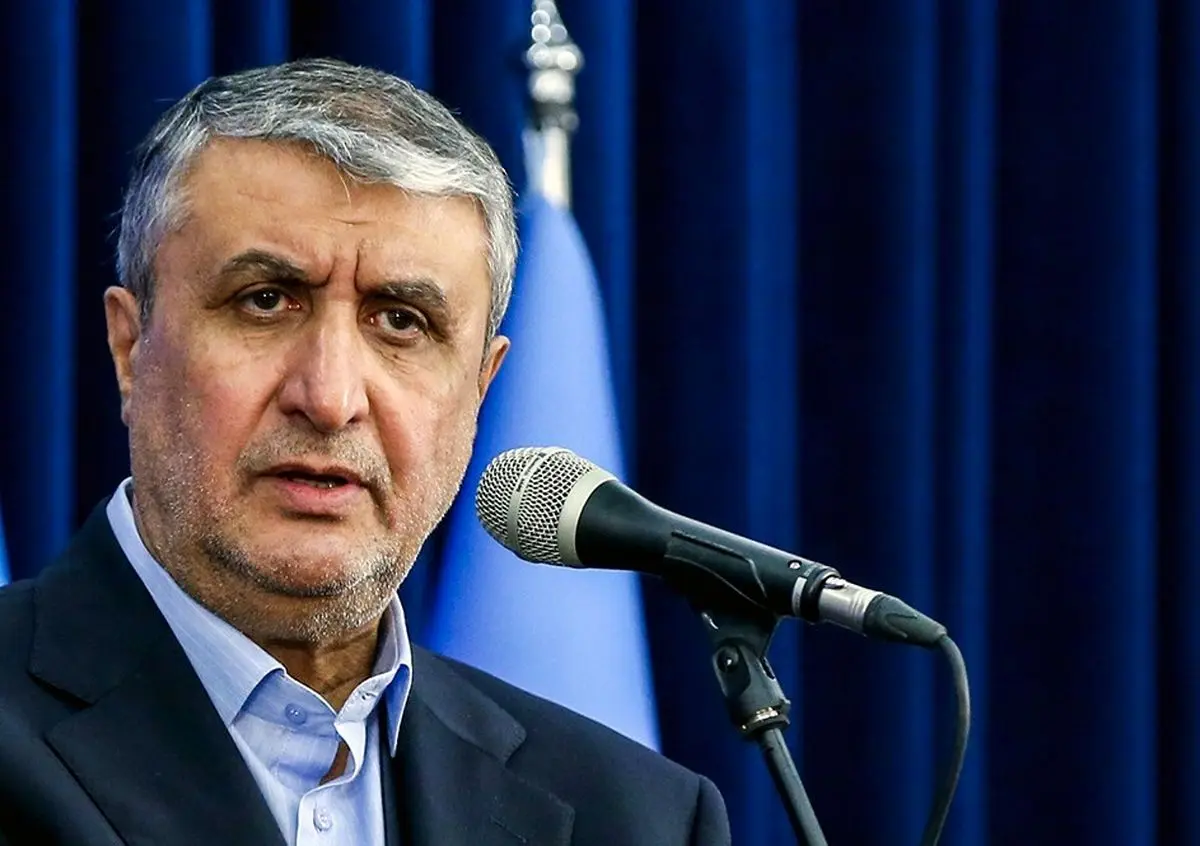رئیس سازمان انرژی اتمی: برنامه هستهای ایران شفاف و تحت نظر آژانس است رئیس سازمان انرژی اتمی: برنامه هستهای ایران شفاف و تحت نظر آژانس است