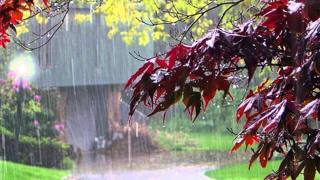 هشدار جدی به اهالی این استانها؛ باران شدید، برف و توفان در راه است هشدار جدی به اهالی این استانها؛ باران شدید، برف و توفان در راه است