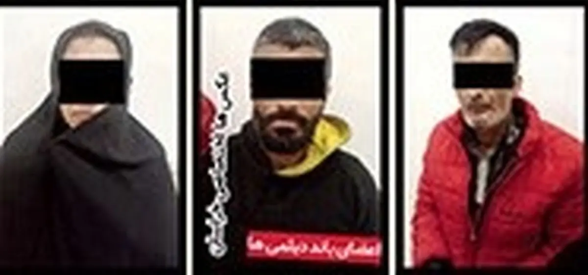 زن ضایعاتفروش؛ عضو اصلی باند سرقت نیم میلیاردی زن ضایعاتفروش؛ عضو اصلی باند سرقت نیم میلیاردی