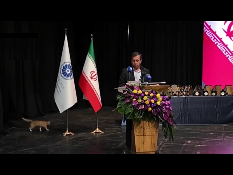 ویدیو| گربه‌ها در سخنرانی وزیر اقتصاد حضور پیدا کردند!