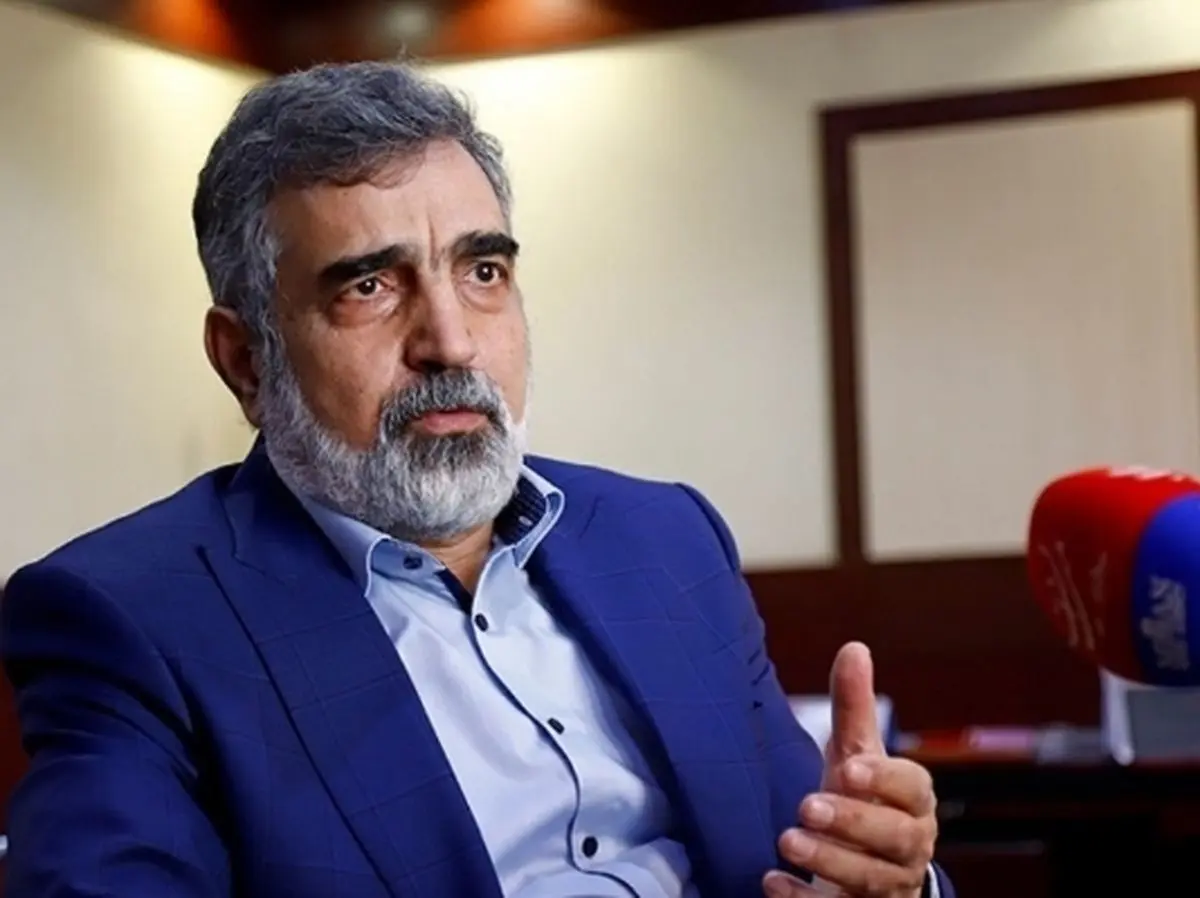 دشمنان پرونده هستهای ایران را بسیار پیچیده و سیاسی کردهاند دشمنان پرونده هستهای ایران را بسیار پیچیده و سیاسی کردهاند
