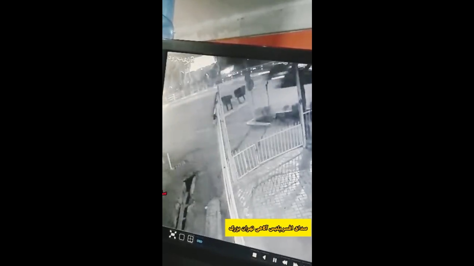 انتشار لحظه قتل دانشجوی دانشگاه تهران توسط زورگیران خشن +ویدیو